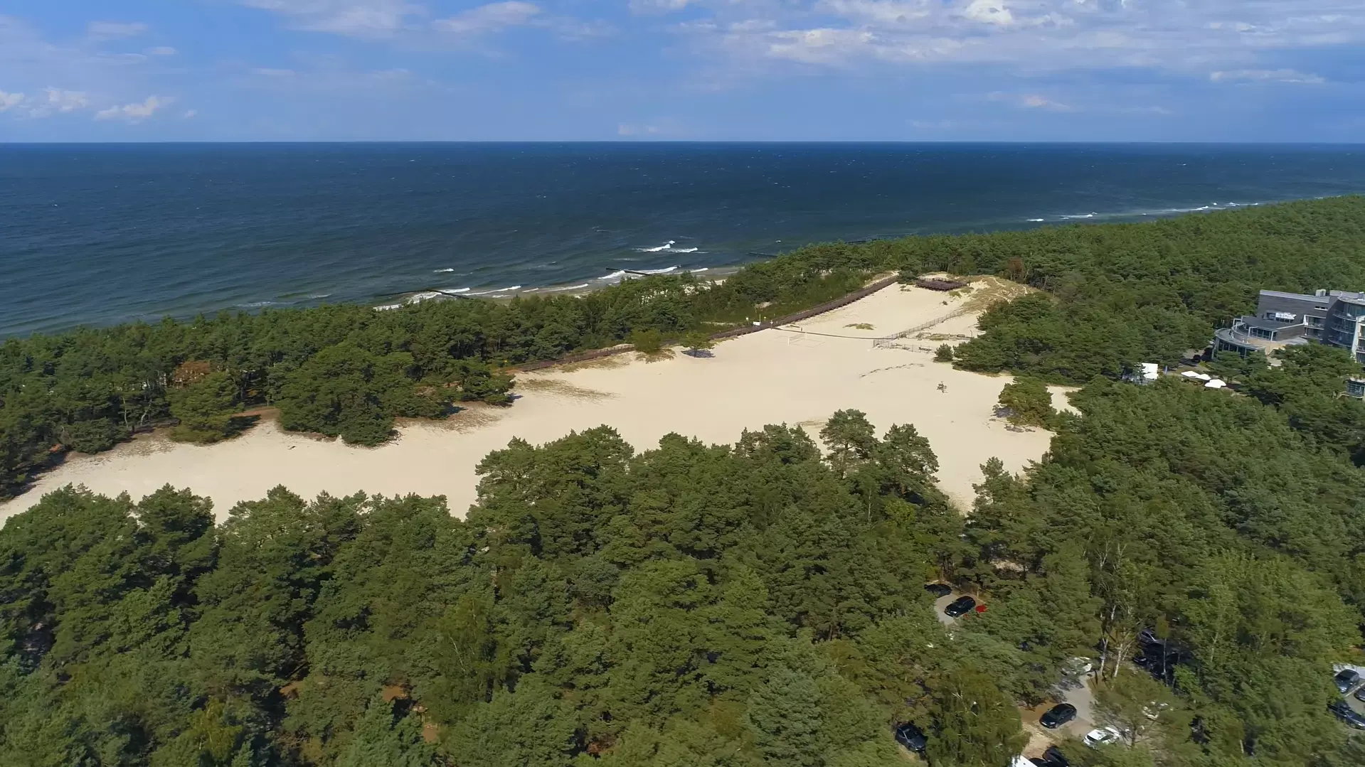Wydmy z lasem sosnowym oddzielające plażę od lądu